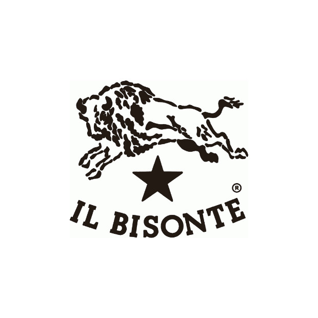 IL BISONTE