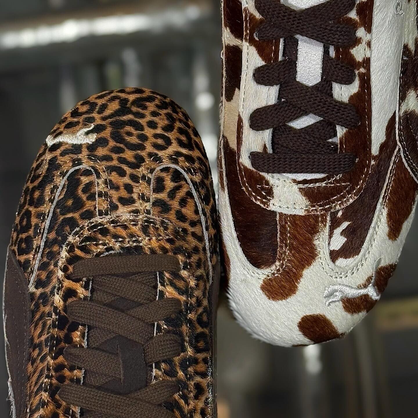 SPEED CAT からNew colorが登場❤️‍🔥 | ショップニュース