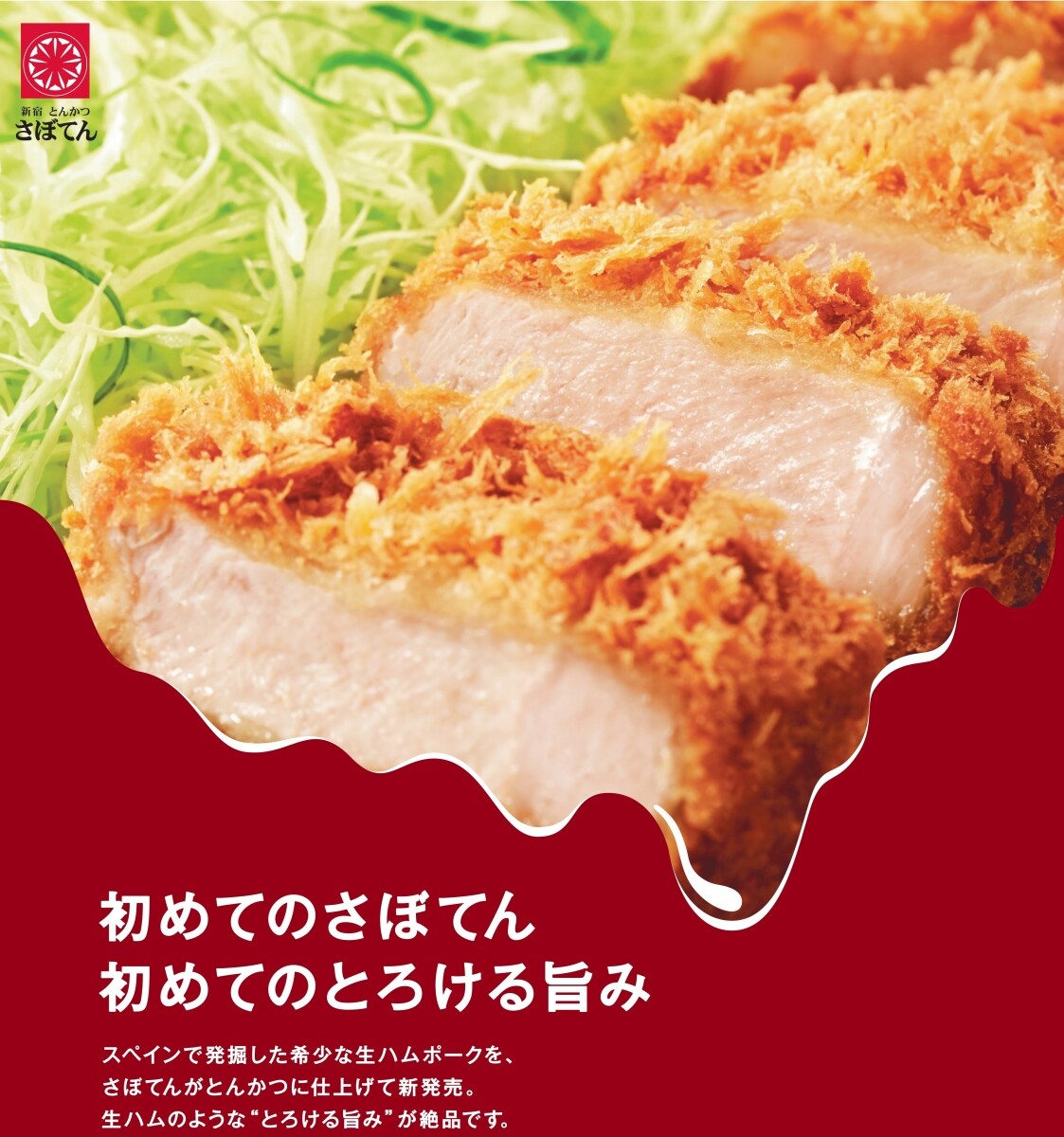 とんかつ新宿さぼてん 熊本イオンモール店」熱々の定食がいただけるとんかつ屋さん【熊本県上益城郡】｜くまたん