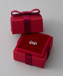 Winter 2025 "VERY MERRY" -Jingle Bells-