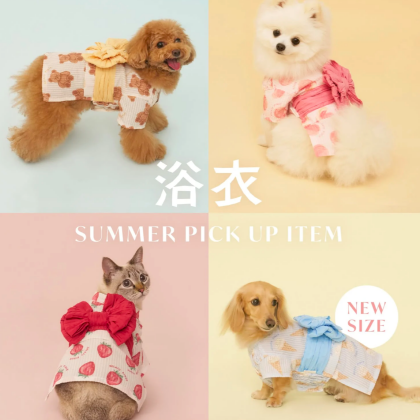 ⭐︎ CAT & DOG アイテム紹介　⭐︎