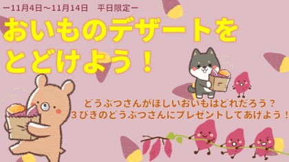 【イベント】11月イベント🌰