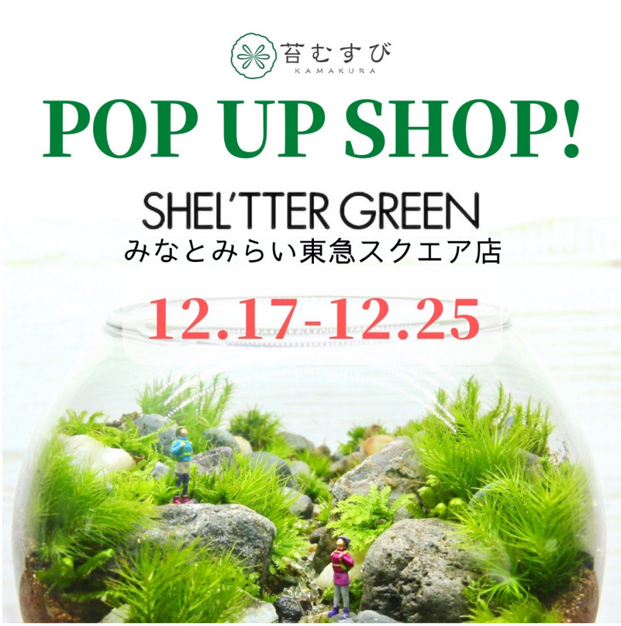 苔むすび×SHEL'TTER GREEN　POP UP